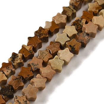 Natural Picture Jasper Beads Strands, Star, 4x4.5x2mm, Hole: 0.8mm, about 102pcs/strand, 15.35 inch(39cm)