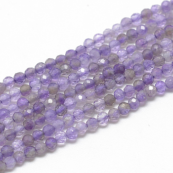 Natural Amethyst Beads Strands, Faceted, Round, 2x2mm, Hole: 0.5mm, about 188pcs/strand, 15.9 inch