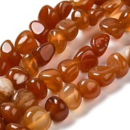 Natural Agate Beads Strands, Dyed & Heated, Nuggets, Tumbled Stone, Chocolate, 6.5~13x10~13x1.5~11mm, Hole: 1.6mm, about 22pcs/strand, 7.20~7.72''(18.3~19.6cm)(G-H295-B01-01)