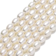 Natural Cultured Freshwater Pearl Beads Strands, Rice, Linen, 6.5~7x5~5.5mm, Hole: 0.6mm, about 54~56pcs/strand, 14.76''(37.5cm)(PEAR-J006-20A-01)