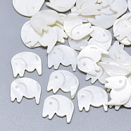 Freshwater Shell Cabochons, Carved Elephant, Seashell Color, 12.5x14.5x1.5mm(SHEL-S264-042)