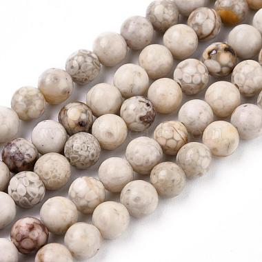 Natural Maifanite/Maifan Stone Beads Strands(G-F353-6mm)-3