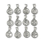 12Pcs 304 Stainless Steel Pendants, Flat Round with Constellations Charm, Platinum, 20.5x17x3.5~5mm, Hole: 3x9mm(STAS-L022-306P-M)