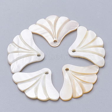 Seashell Fan Freshwater Shell Pendants