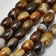 Natural Sardonyx Agate Beads Strands, Barrel, Coffee, 17~18x13mm, Hole: 2mm, about 21pcs/strand, 15.16 inch~15.35 inch(G-K208-37B)