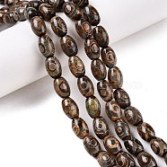 Natural Tibetan Agate 3-Eye Beads Strands, Natural Agate Beads, Dyed & Heated, Oval, Coffee, 12x8mm, Hole: 1.2mm, about 30pcs/strand, 14.17''(36cm)(G-T138-195A)