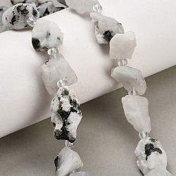 Natural Moonstone Beads Strands, Raw Rough, Nuggets, with Seed Beads, 13~23x12~16x6~13mm, Hole: 1mm, about 11~13pcs/strand, 7.44''(18.9cm)~7.99''(20.3cm)(GG-CBA0B77-A28-03)
