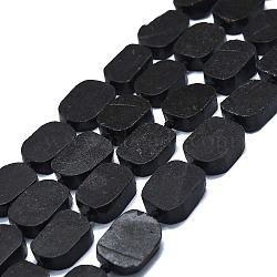 Natural Shungite Beads Strands, Rectangle, 15~17x10~13x5~7mm, Hole: 1mm, about 22pcs/strand, 15.94 inch(40.5cm)(G-K245-J22-01)