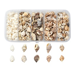 5 Styles Mixed Natural Shell Beads, No Hole, Mixed Shapes, Mixed Color, 6~20x3~11x3~9mm, 54g/box(SSHEL-YW0001-03)