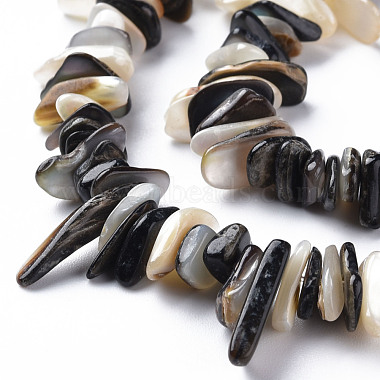Natural Black Lip Shell Bead Strands(SSHEL-N304-102)-3