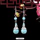 Turquoise Dangle Earrings for Women(WG2299-9)-1