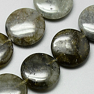 Natural Labradorite Beads Strands, Flat Round, 20x4~7mm, Hole: 1mm, about 20pcs/strand, 15.7 inch(G-Q948-38)