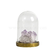 Raw Electroplate Natural Amethyst Species Bell Jar Cloches, Crystal Stone Display Decoration, with Glass Cover, 27x41mm(PW-WG54414-04)