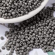 MIYUKI Round Rocailles Beads, Japanese Seed Beads, 8/0, (RR2317) Matte Opaque Gray, 3mm, Hole: 1mm, about 2111~2277pcs/50g(SEED-X0055-RR2317)