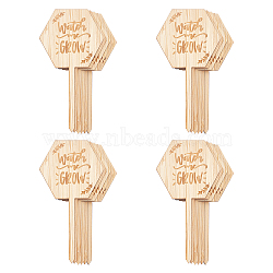 Plant Labels, Wooden Plant Sign Tags, for Seed Potted Herbs Flowers Vegetables, BurlyWood, 100x53x2.5mm(WOOD-GA0001-19)