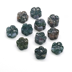 Natural Indian Agate Beads, Flower, 12x12mm(PW-WG31872-05)
