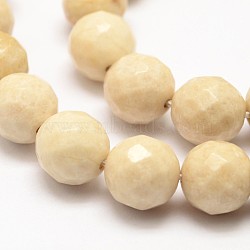 Natural Fossil Round Bead Strands, Faceted, 8mm, Hole: 1mm, about 46pcs/strand, 14.8 inch(X-G-O151-02-8mm)