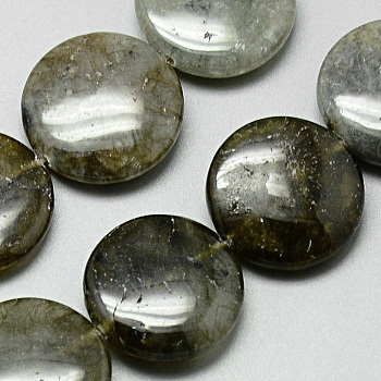 Natural Labradorite Beads Strands, Flat Round, 20x4~7mm, Hole: 1mm, about 20pcs/strand, 15.7 inch
