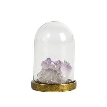 Raw Electroplate Natural Amethyst Species Bell Jar Cloches, Crystal Stone Display Decoration, with Glass Cover, 27x41mm
