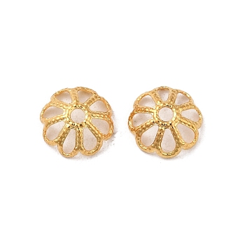 316 Stainless Steel Bead Caps, Multi-Petal, Flower, Real 18K Gold Plated, 8x3mm, Hole: 1.5mm
