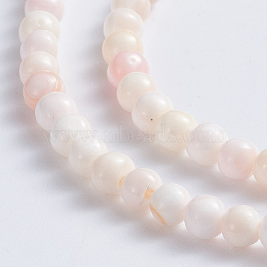 Natural Pink Shell Beads Strands(SSHEL-L016-18B)-2