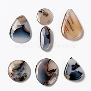 Natural Dendritic Agate Cabochons, Teardrop & Oval & Round, 21~39x15~27x3~8mm(G-A180-B01)