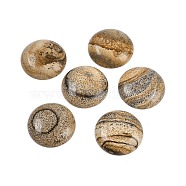 Natural Picture Jasper Cabochons, Half Round/Dome, 25x5.5mm(G-H1596-FR-25mm-17)