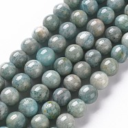 Natural Amazonite Beads Strands, Round, 8~9mm, Hole: 1mm, about 45~48pcs/strand, 15.7 inch(G-S333-8mm-005)