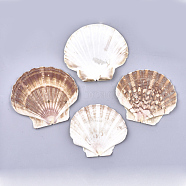 Natural Scallop Shell Beads, Sea Shell Beads, Undrilled/No Hole Beads, Camel, 83~97x90~107x5~7mm(SSHEL-S258-46)