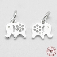 925 Sterling Silver Pendants, Elephant, with 925 Stamp, Silver, 10x10x1.5mm, Hole: 4mm(STER-K170-04S)