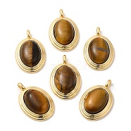 Natural Tiger Eye Pendants, Brass Oval Charms, Real 18K Gold Plated, 23x15x7mm, Hole: 3x2mm(KK-M270-41G-01)