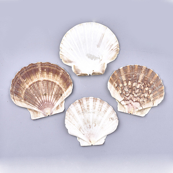 Natural Scallop Shell Beads, Sea Shell Beads, Undrilled/No Hole Beads, Camel, 83~97x90~107x5~7mm