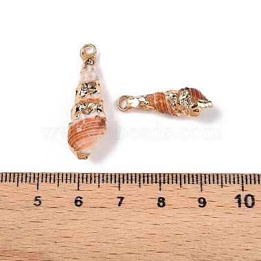 Natural Sea Shell Pendants(SSHEL-N038-34)-3