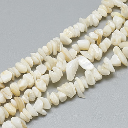Freshwater Shell Beads Strands, Dyed, Chip, Beige, 4~14x4~8x1~8mm, Hole: 1mm, about 210~250pcs/strand, 31.4 inch(SHEL-S270-20)