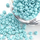 Perles de rocaille en verre(SEED-Q025-3mm-L10)-1