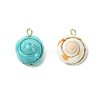 2Pcs 2 Colors Natural & Synthetic Shiva Eye Shell Pendants, Shell Shape Charms with 304 Stainless Steel Loops, Golden, Mixed Dyed and Undyed, Mixed Color, 23x17.5~19.5x11.5~13mm, Hole: 2.8mm, 1pc/color(PALLOY-JF03383)