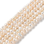 Natural Cultured Freshwater Pearl Beads Strands, Potato, Grade A, PapayaWhip, 4.5~6.5x4~4.5mm, Hole: 0.6mm, about 78pcs/strand, 13.66 inch(34.7cm)(PEAR-E018-59)