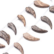 Carved Natural Coconut Beads Strands, Top Drilled, Leaf, Coffee, 23.5~27.5x8~13.5x3.5~4.5mm, Hole: 1mm, about 24pcs/Strand, 17.80 inch(45.2cm)(X-COCB-K002-01)