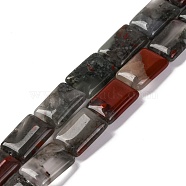 Natural African Bloodstone Beads Strands, Rectangle, 18x13.5x5.5mm, Hole: 1.2mm, about 22pcs/strand, 15.75 inch(40cm)(G-T047-B06-01)