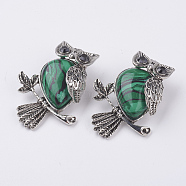 Natural Malachite Pendants, with Alloy Finding, Owl, Antique Silver, 46.5x35.5x11.5mm, Hole: 6x8.5mm(G-E442-01N)