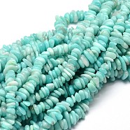 Natural Amazonite Chip Beads Strands, 5~14x4~10mm, Hole: 1mm, about 15.5 inch~16.1 inch(X-G-E271-75)