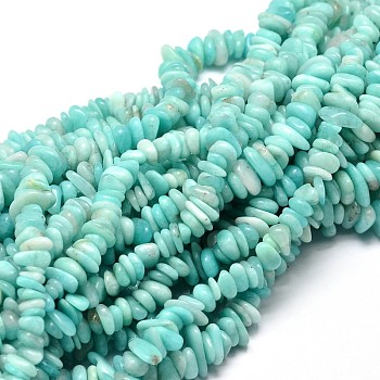 Natural Amazonite Chip Beads Strands, 5~14x4~10mm, Hole: 1mm, about 15.5 inch~16.1 inch