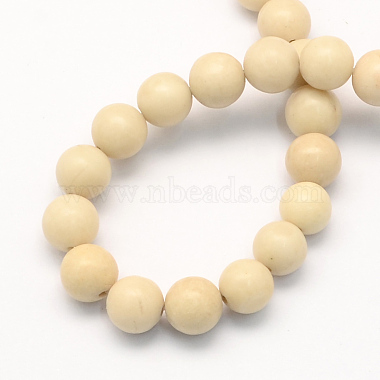 Natural Fossil Round Beads Strands(G-S171-10mm)-2