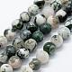 Natural Tree Agate Beads Strands(G-I199-03-8mm)-4