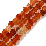 Natural Carnelian Beads Strands, Star, 4x4.5x2mm, Hole: 0.8mm, about 102pcs/strand, 15.35 inch(39cm)(G-G085-B35-01)