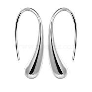 Silver Color Plated Brass Dangle Earrings, 29x13mm(EJEW-BB11917)