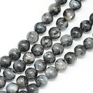 Natural Labradorite Bead Strands, Round, 8~9mm, Hole: 1mm, about 46pcs/strand, 15.3 inch(G-R345-8mm-33)