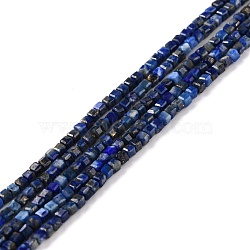 Natural Lapis Lazuli Beads Strands, Faceted, Cube, 2x2x2mm, Hole: 0.7mm, about 178pcs/strand, 15.39 inch(39.1cm)(G-K315-A09)