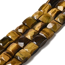 Natural Tiger Eye Beads Strands, Faceted, Square, 9~10.5x10~10.5x6mm, Hole: 1mm, about 18~20pcs/strand, 7.09~7.68 inch (18~19.5cm)(G-C109-A07-01)