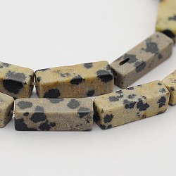Natural Dalmatian Jasper Cuboid Beads Strands, 13x4x4mm, Hole: 1mm, about 31pcs/strand, 16.1 inch(G-N0153-16)